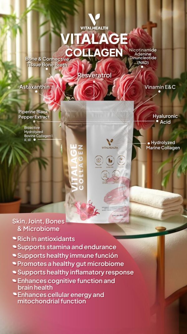 V-DAILY From VitalHealthGlobal-The Foundational Wellness Multinutrient - Image 3
