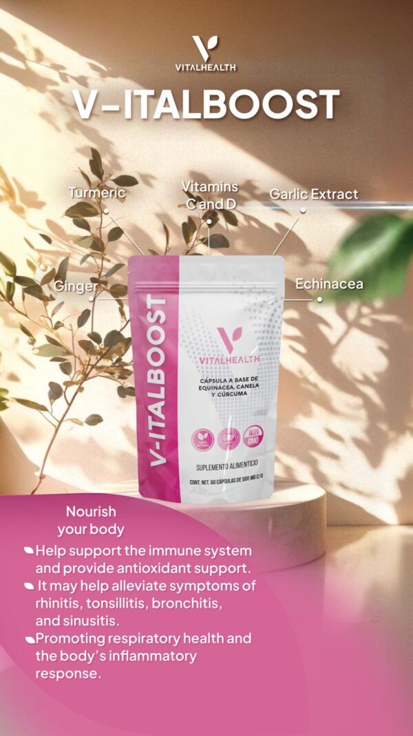 V-DAILY From VitalHealthGlobal-The Foundational Wellness Multinutrient - Image 4